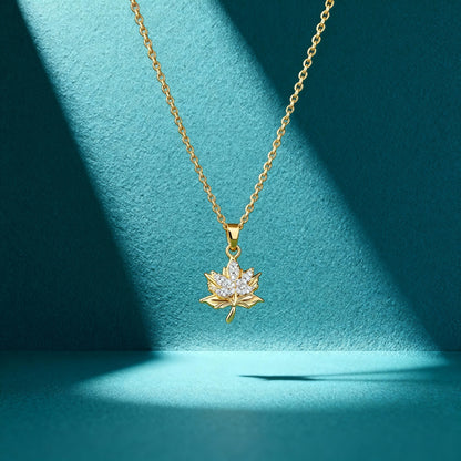 Colliers Fins & Intemporels